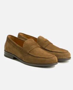 DAPPER V  Mocassins Croûte velours Marron Homme